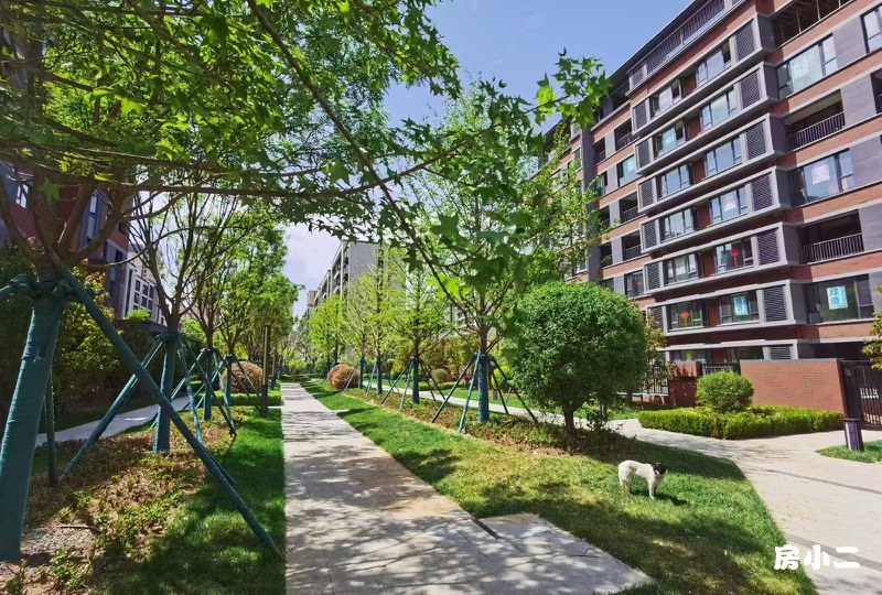 🏛️招商蛇口📜与城共话未来🌿