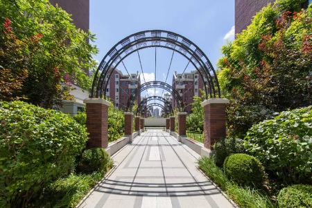 楼盘动态图片 1