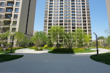 楼盘动态图片 1