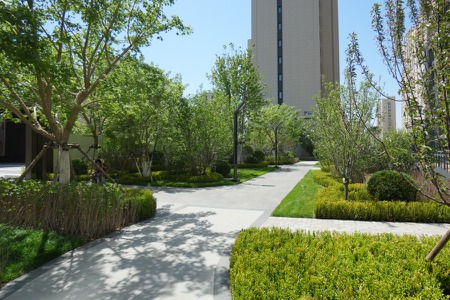 楼盘动态图片 1