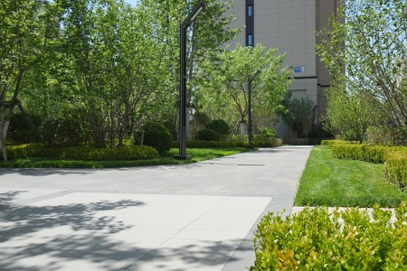 楼盘动态图片 1