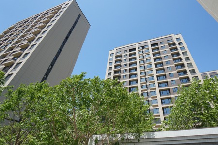 楼盘动态图片 1