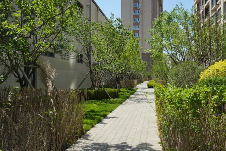 楼盘动态图片 1