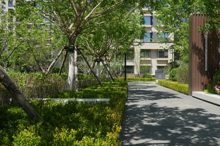 楼盘动态图片 1