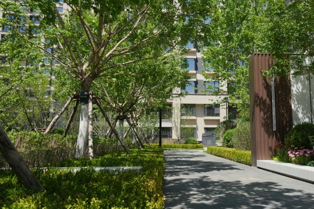 楼盘动态图片 1