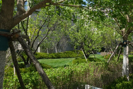 楼盘动态图片 1