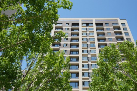 楼盘动态图片 1