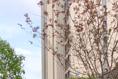 楼盘动态图片 1