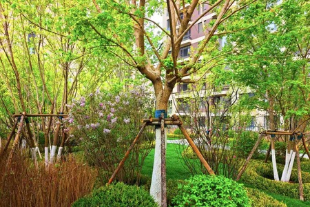 楼盘动态图片 1