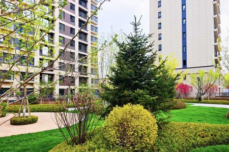 楼盘动态图片 1