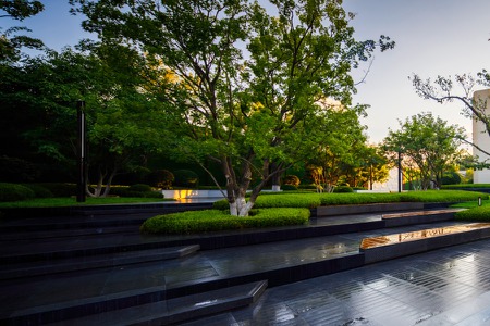 楼盘动态图片 1