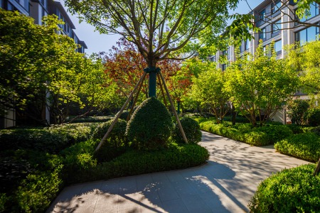 楼盘动态图片 1