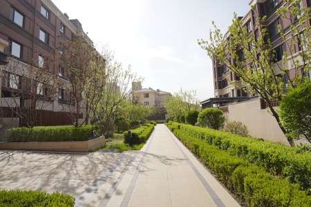 楼盘动态图片 1