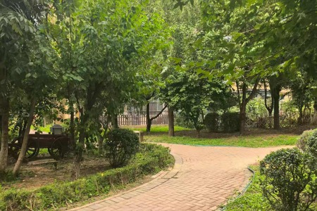 楼盘动态图片 1