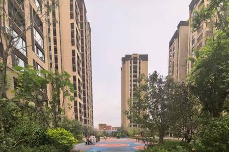 楼盘动态图片 1