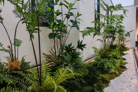 楼盘动态图片 1