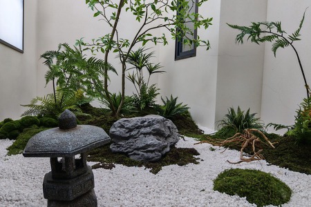 楼盘动态图片 1