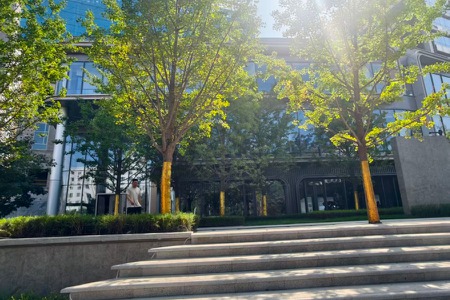 楼盘动态图片 1