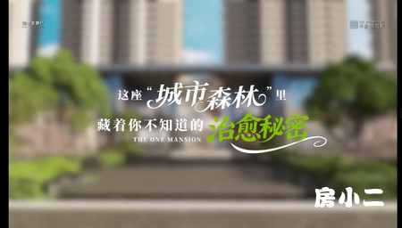 中金壹号院园林2