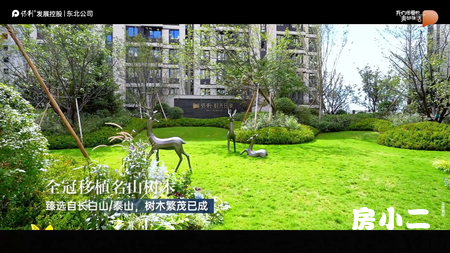 保利时光印象-园区视频