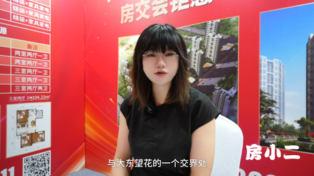 #北宇红枫庭院 大东望花北 地铁旁 实景现房