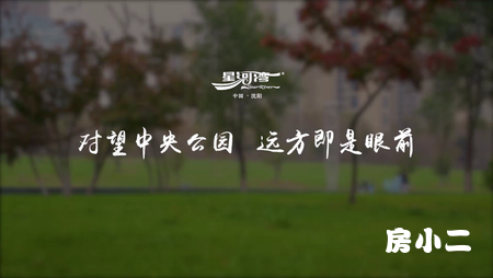 中央公园 vlog