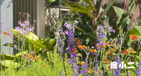 沈阳正大家之梦园林5