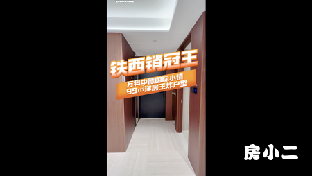 万科中德国际小镇99平样板间