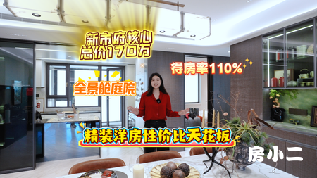 浑南新市府，出门就是公园，得房率110%，