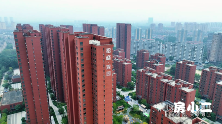 招商观园 实景倾呈