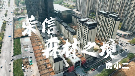 沈北红盘 荣信森林之境 全面配套 所见即所得