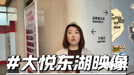 小二管家大悦东湖印象实地讲房
