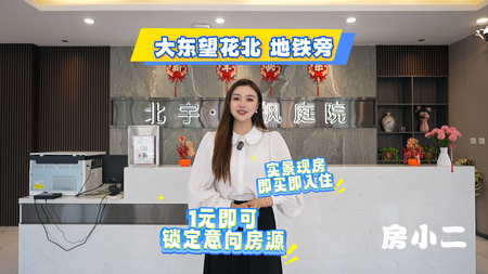 北宇红枫庭院 大东望花北 地铁旁 实景现房 即买即入住