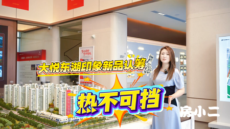 望花明星楼盘大悦东湖印象新品认筹热不可挡