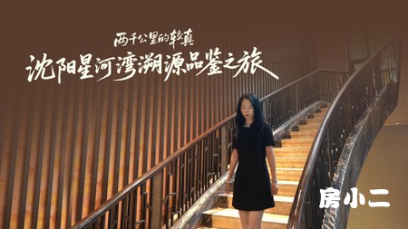 沈阳星河湾溯源品鉴之旅 解码豪宅基因