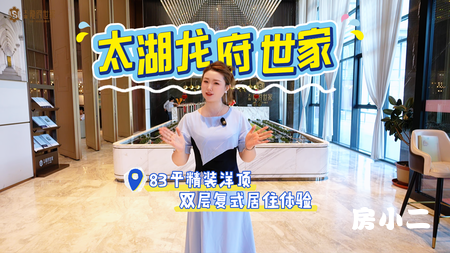 太湖龙府世家 配置太豪华 一梯一户+双露台