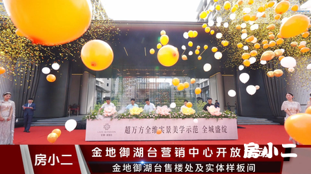 金地御湖台项目售楼处及实体样板间 沉浸式示范区今日盛大开放