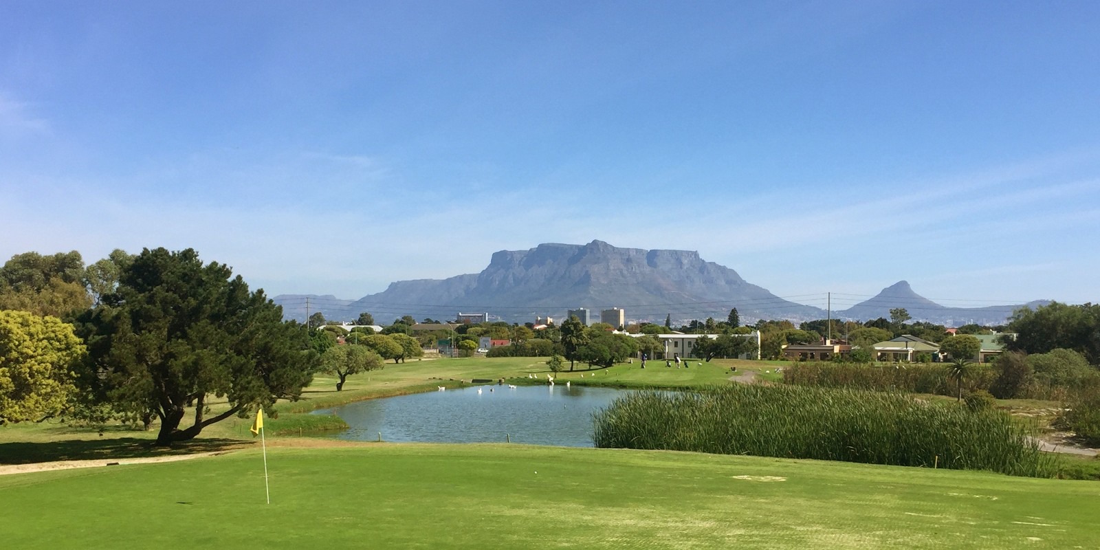 金科中南•集美尚景|绿景萦绕,greenland是你的后花园_楼盘动态_房