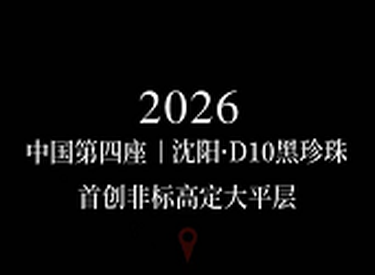 加冕北中国｜新希望D10黑珍珠360㎡非标高定大平层，为何是沈阳顶豪的终极选择？